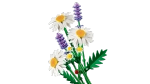 Конструктор LEGO Botanical Collection 11508 Daisies