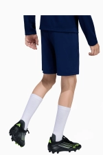 Шорты adidas Entrada 26 Training Junior - темно-синий