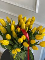 ОПТ тюльпан - классика ЖЕЛТЫЙ