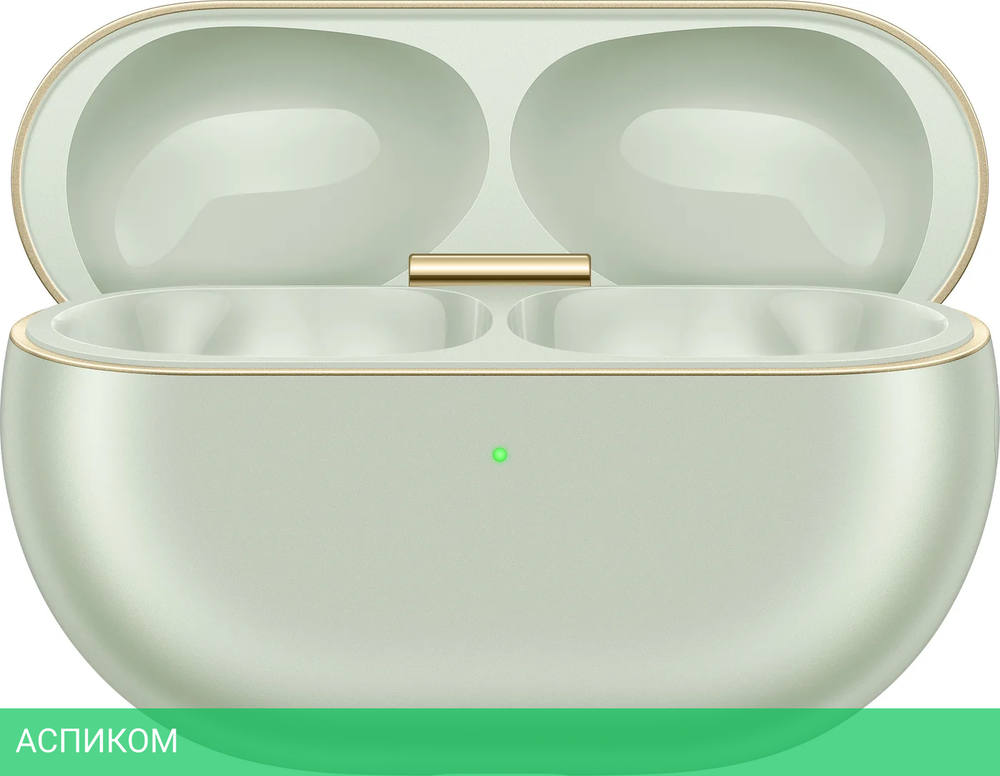 Наушники Huawei FreeBuds Pro 4 T0022 Green (55037964)