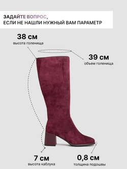 1149-501RB/Сапоги женские