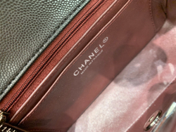 Chanel Bag 20 cm
