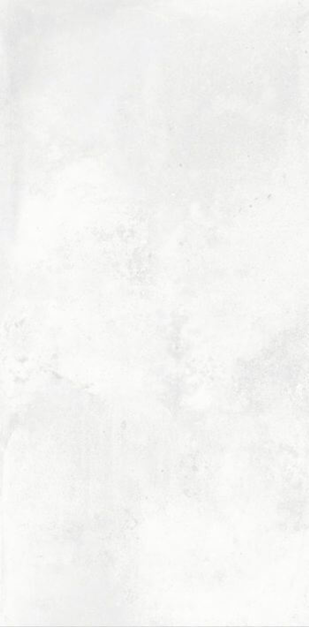 NT Ceramic Cemento Bianco 60x120