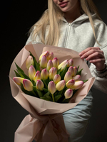 Тюльпаны 25 шт