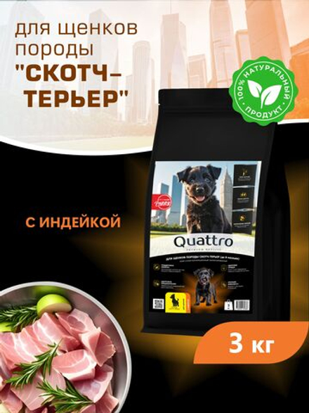 Корм сухой для щенков породы Скотч-терьер, с индейкой, 3 кг, QUATTRO