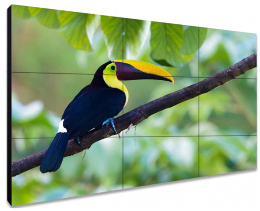 Панель Exell EXPD-WA55AB05