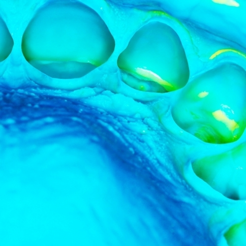 ELITE HD+ Putty Soft NORMAL - Элит А-силикон очень высокой вязкости (2 по 250мл)