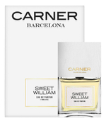 CARNER BARCELONA Sweet William