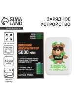 Зарядное устройство «100% заряд», 5000мА