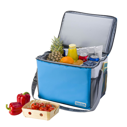 Термосумка Biostal Дискавери (25 л.), синяя