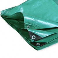 Тент 2×3м, 120 г/м², Тарпикс