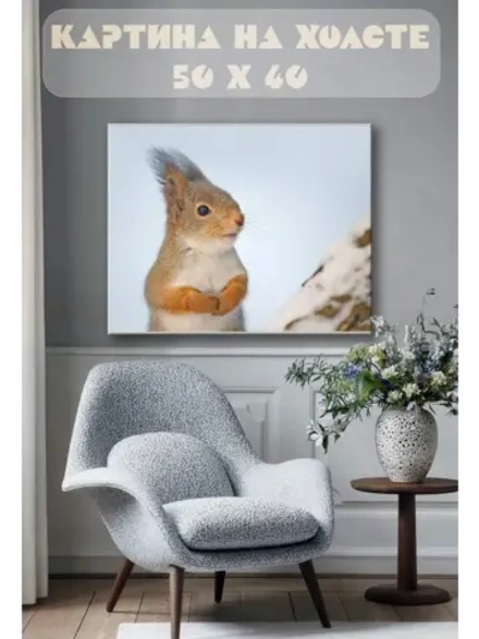 Картина на стену 40 X 50 Белка