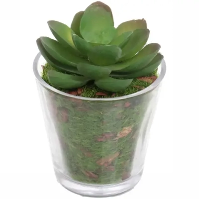 Цветок искусственный «Суккулент» 6*8см в стеклянном горшке ZPY-25
