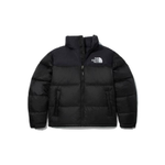 Куртка The North Face Jacket, NJ1DN75A