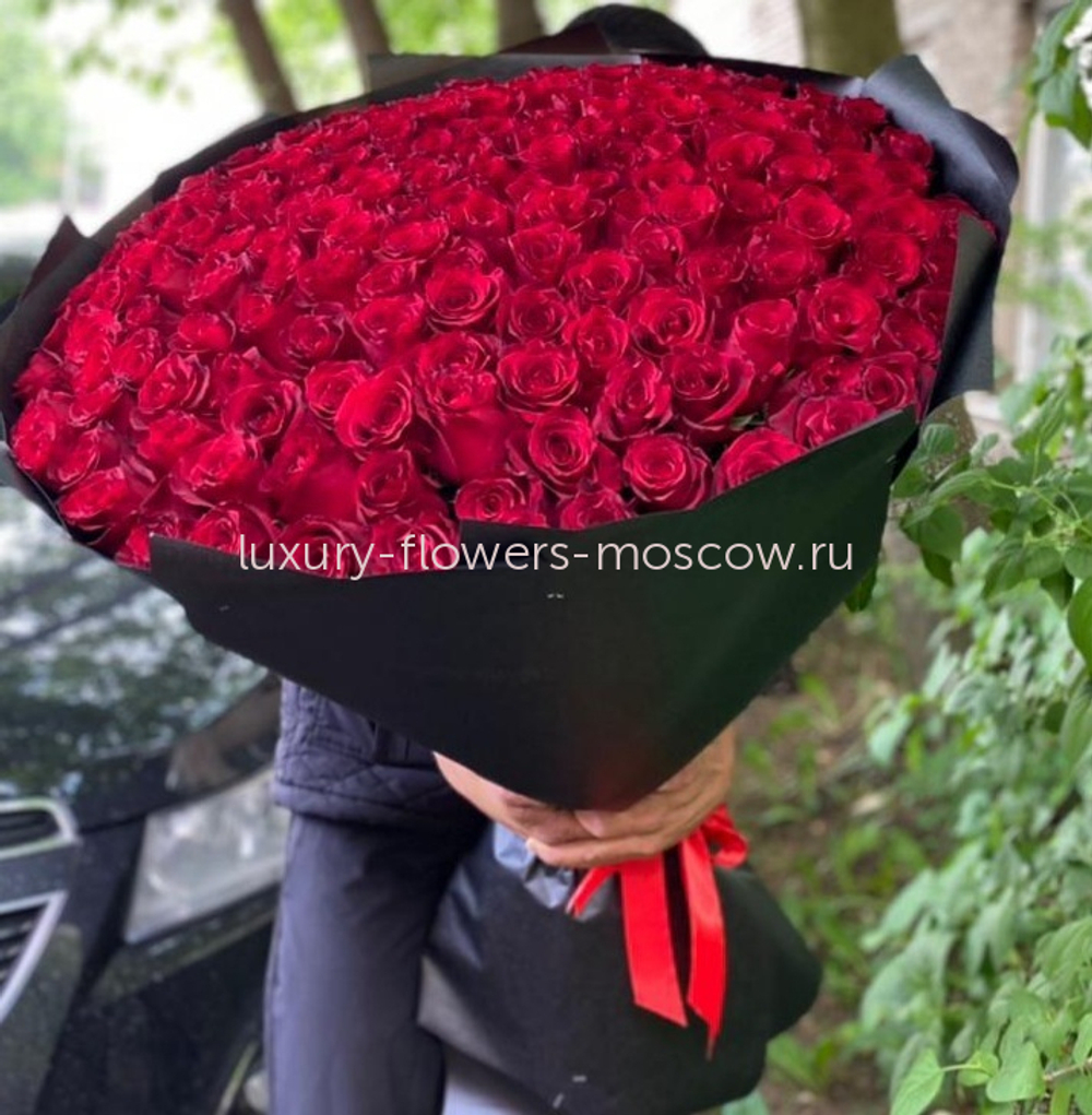 201 красная роза Эквадор экстра 4
