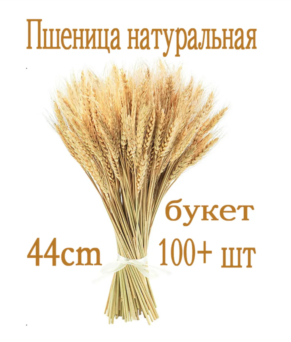 100 Ветки. Пшеница Сухоцветы для декора и интерьера, 44 см