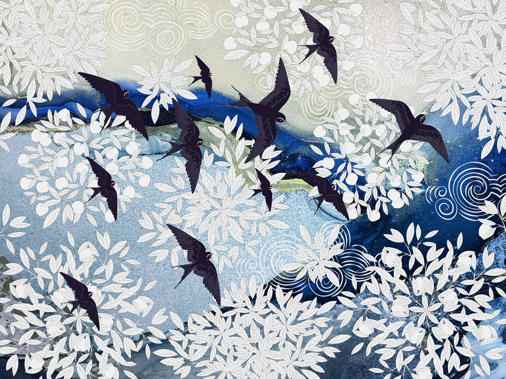 Коллекция GUSILEBEDY