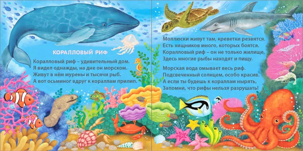 Книжки - картонки (бол). Удивительные дома животных