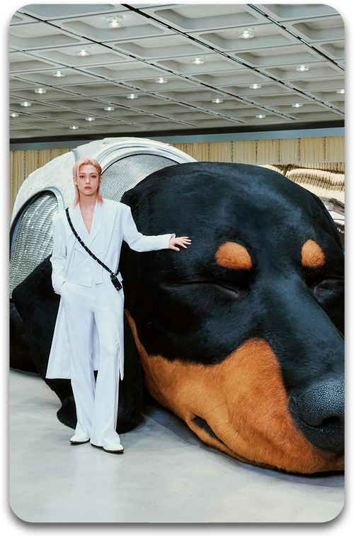 Карта / STRAY KIDS #4633