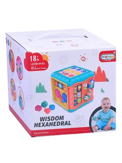 Развивающая игрушка для детей Бизикуб (668-137)