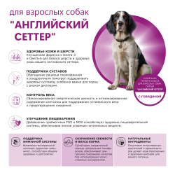 Корм сухой для взрослых собак породы Английский сеттер, премиум полнорационный комплекс, с говядиной, 2,5 кг, QUATTRO