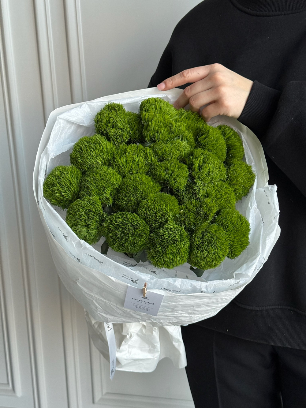 Моно букет из диантусов сорта Грин трик 25 шт