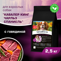 Корм сухой для взрослых собак породы Кавалер кинг Чарльз спаниель, с говядиной, 2,5 кг, QUATTRO