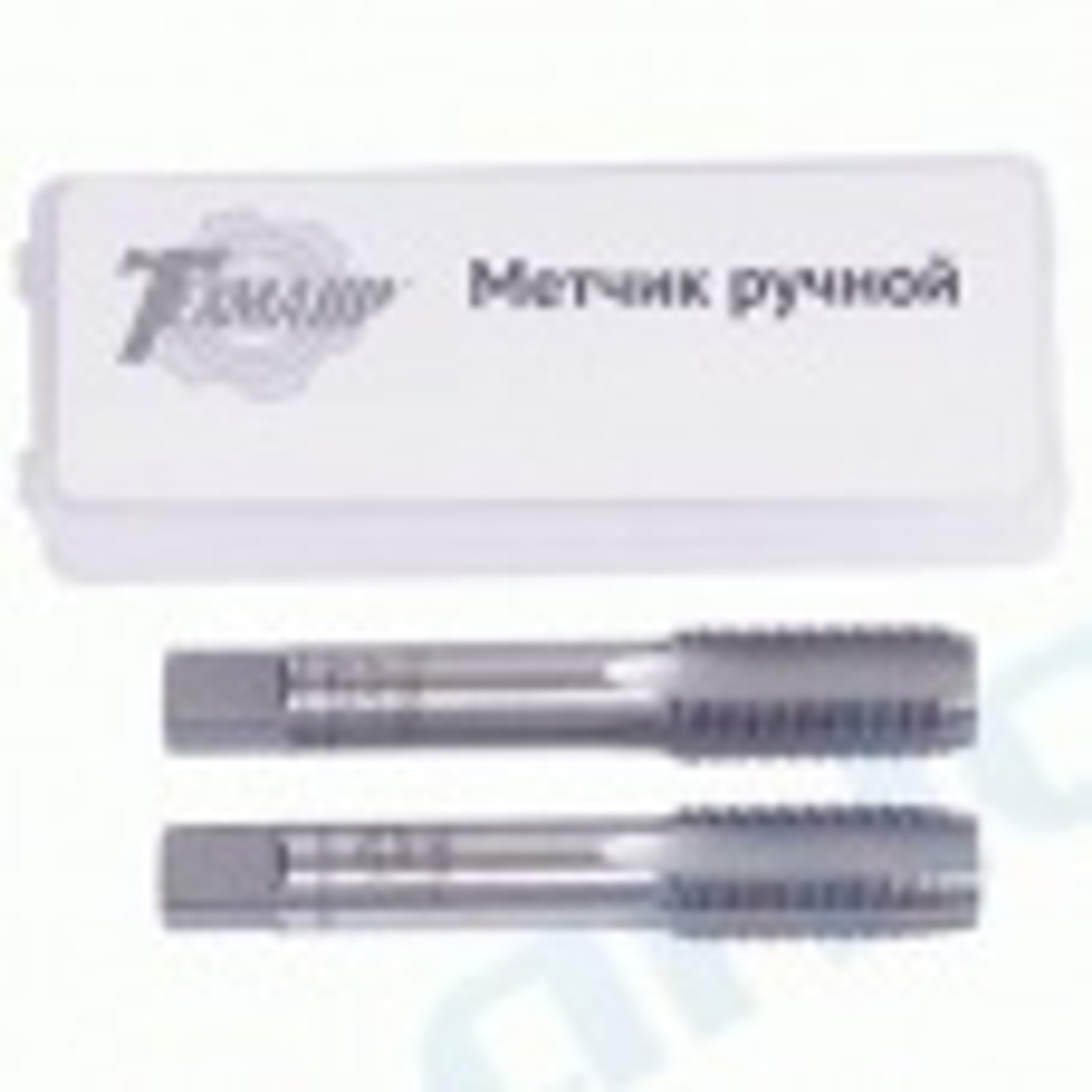 Метчик М10 х 1,00 пластмассовый футляр 2 шт.