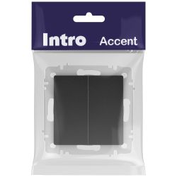 Выключатель Intro Accent 6-104-05 двойной, 10А-250В, IP20, СУ, AL/CU, антрацит | Intro
