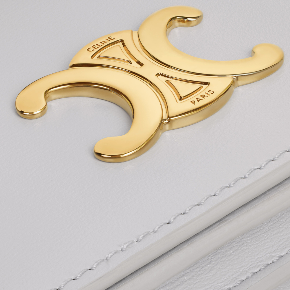 Картхолдеры и кошельки CELINE, 10M123FOZ-10CG