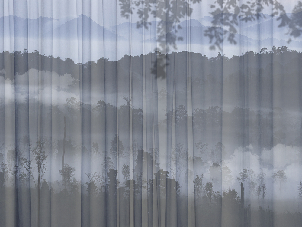 Коллекция FORESTA