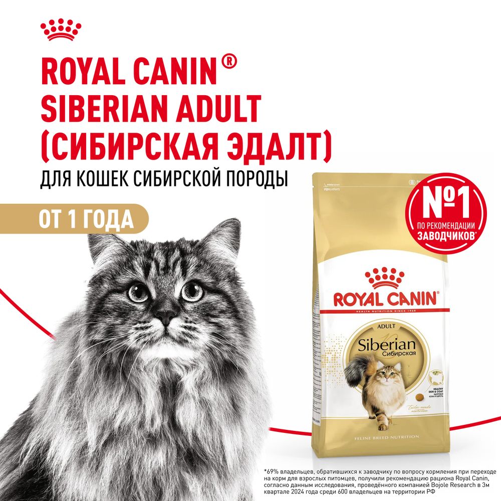 Сухой корм Royal Canin Siberian для взрослых кошек породы Сибирская от 12 месяцев Сухой корм Royal Canin Siberian для взрослых кошек породы Сибирская от 12 месяцев
