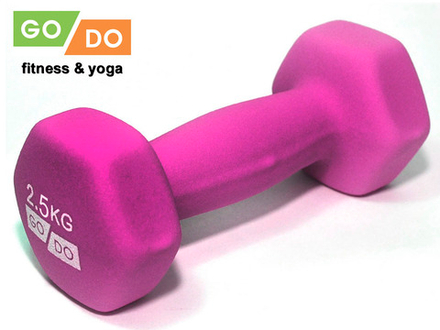 Гантель GO DO в виниловой матовой неопреновой оболочке.  Вес 2,5 кг.  (Фиолетовый)