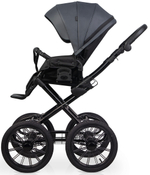 Детская коляска Riko Basic Montana X Ecco Prestige 2 в 1 24 Graphite (графит)