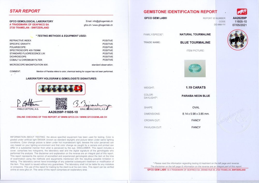 Турмалин Параиба, Овал, 1 шт. / 1,19 карат, Мозамбик