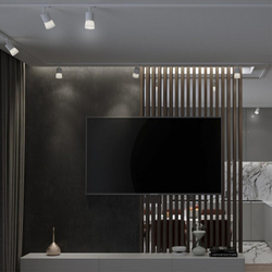 Трековый светильник Novotech 370903