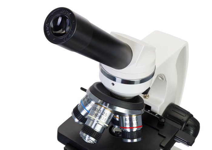 Микроскоп Levenhuk Discovery Atto Polar с книгой Невидимый мир