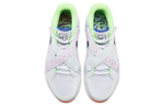 Кроссовки Nike Zoom Court Dragon