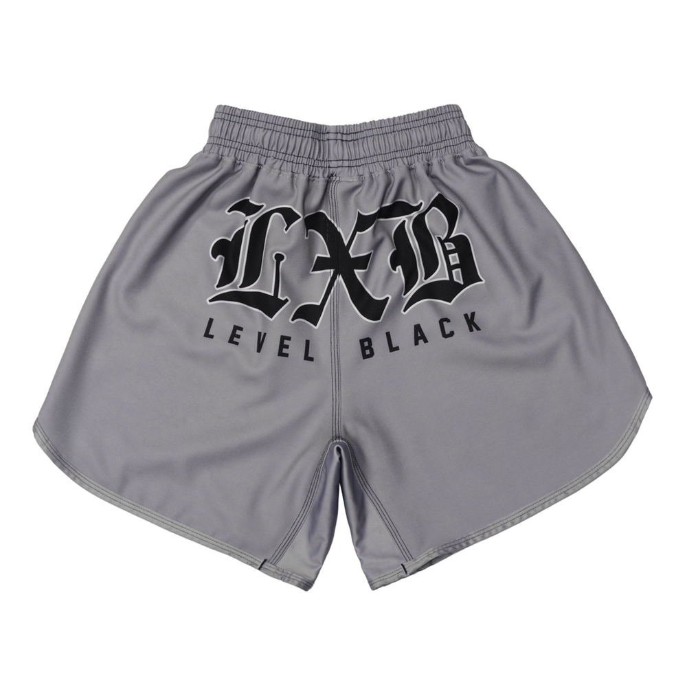 Шорты Level x Black STEEL GRAY