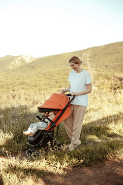 Детская прогулочная коляска Anex AIR-X Ax-01 terracotta