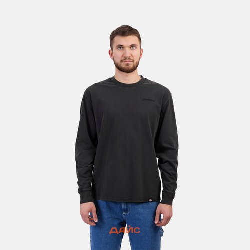 Лонгслив мужской Dickies Plentywood артикул:DK0A866CH861 - купить в магазине Дайс