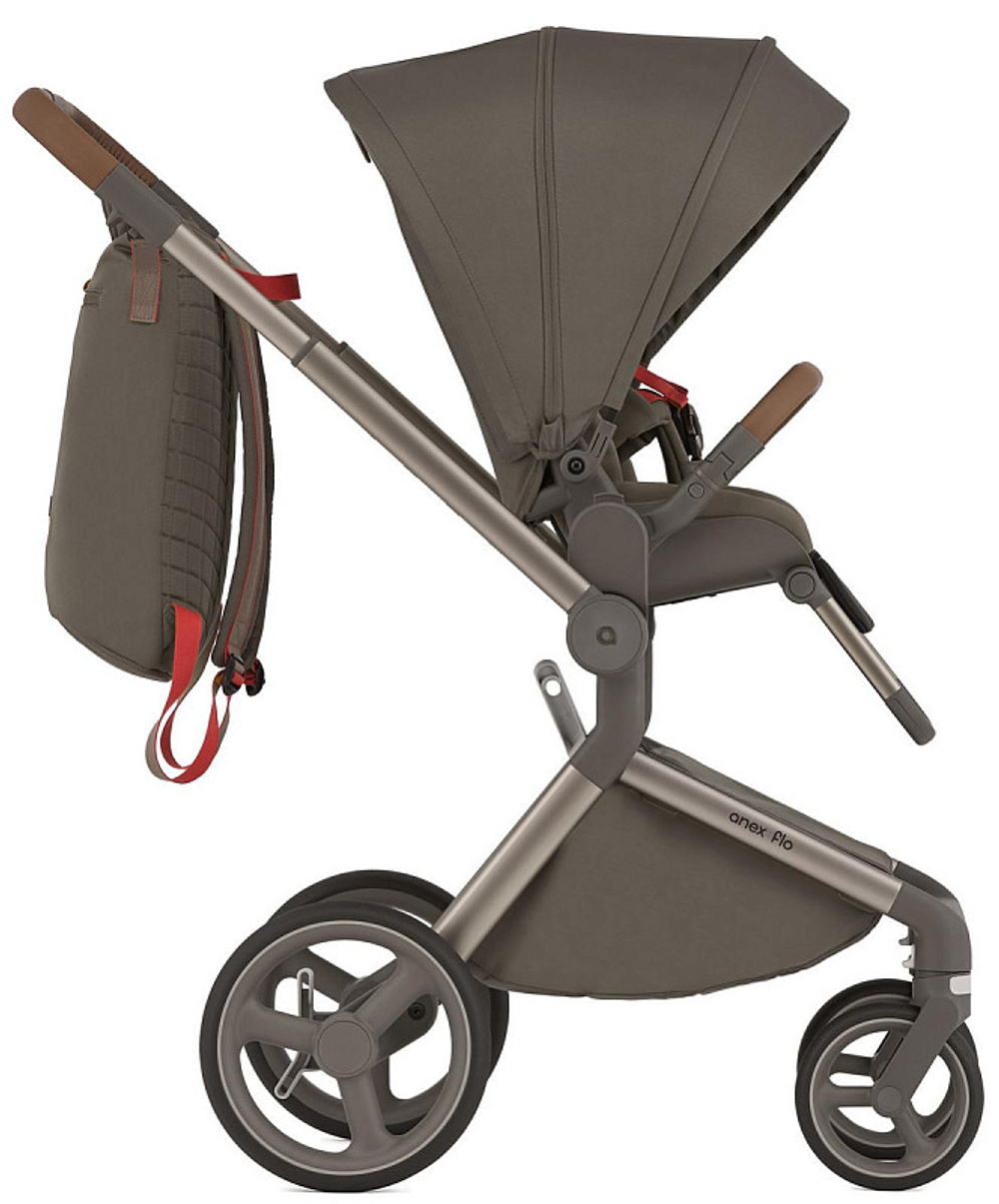 Детская коляска Anex Flo 2 в 1 Cesar