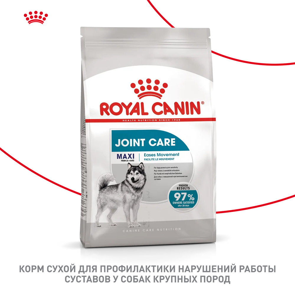 Royal Canin Maxi Joint Care Макси Джойнт кэа Корм сухой для взрослых собак крупных размеров с повышенной чувствительностью суставов 3кг