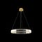 Подвесной светодиодный светильник Loft IT Crystal ring 10135/600 Gold