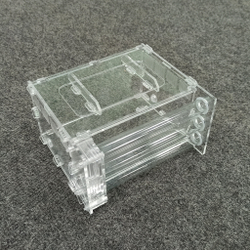 Пробирочная муравьиная ферма