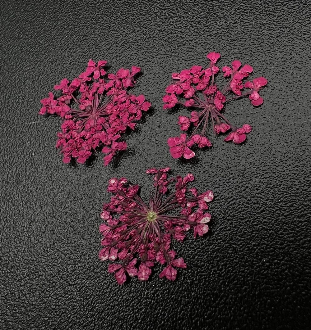 Zoo nail Сухоцветы Любимые цветочки, 1682