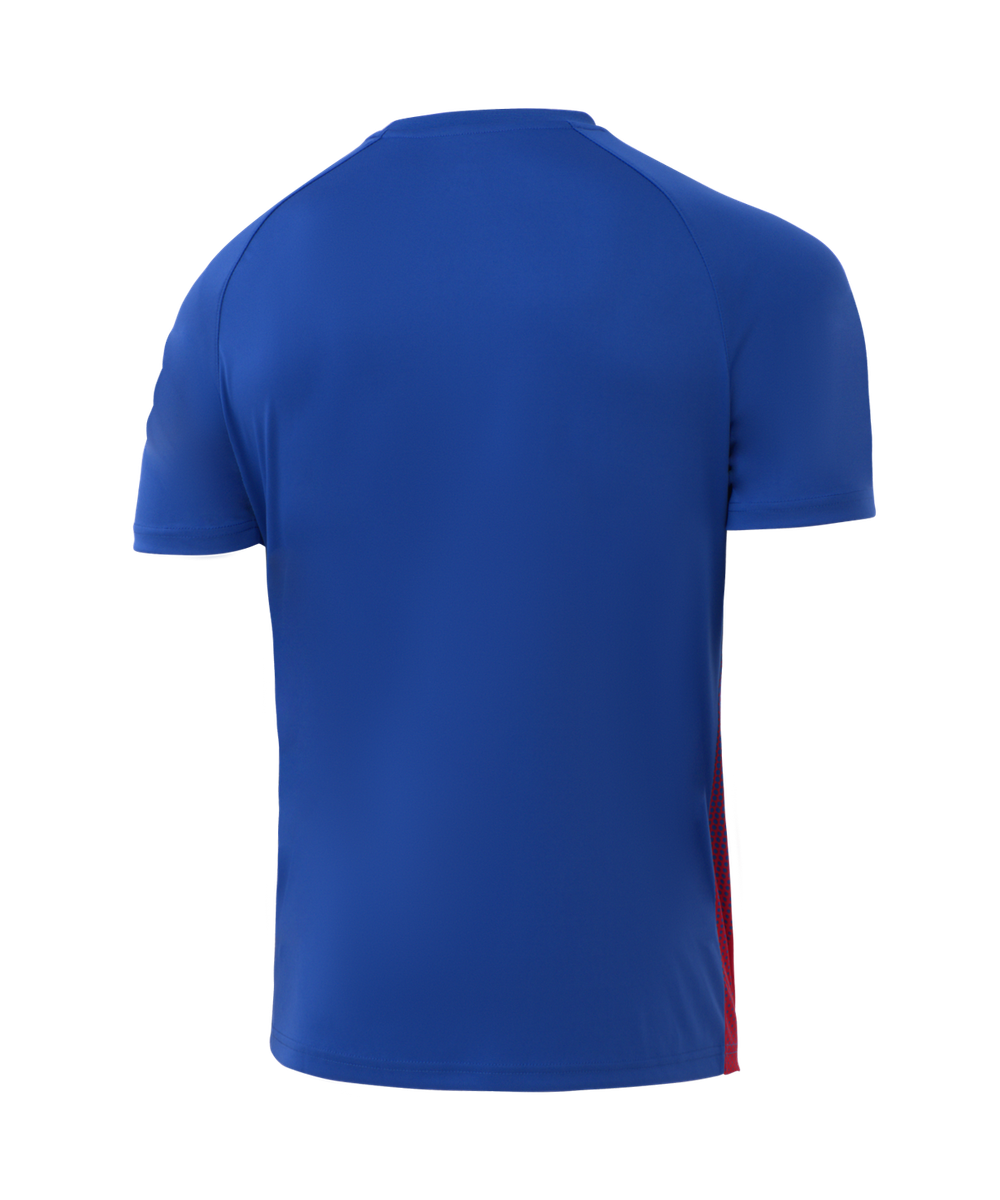 Футболка игровая Camp Striped Jersey, красный/синий