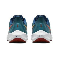 Мужские кроссовки Nike Air Zoom Pegasus 39 'Spruce Crimson' DH4071-302