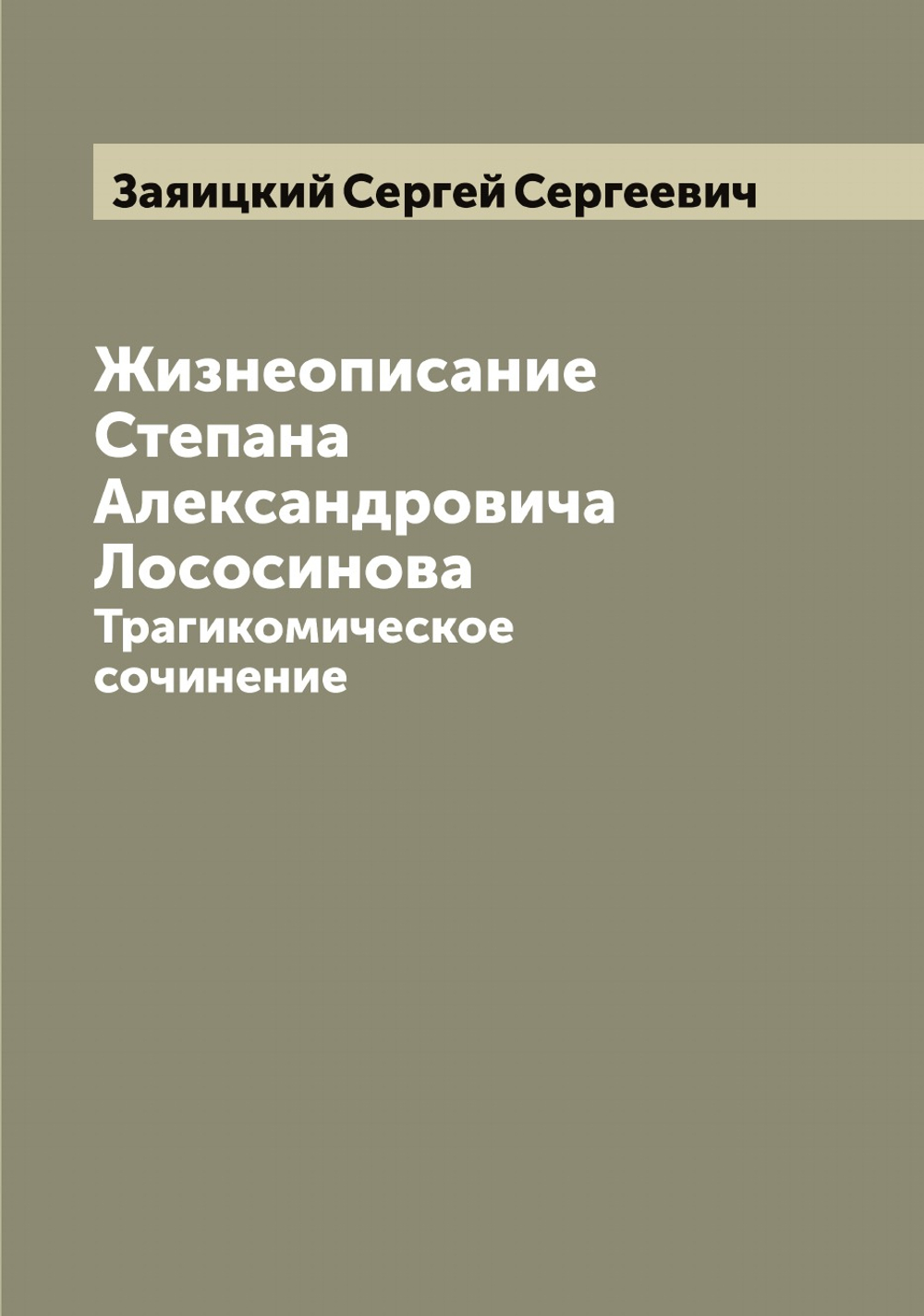 Жизнеописание Степана Александровича Лососинова. Трагикомическое сочинение | Заяицкий Сергей Сергеевич