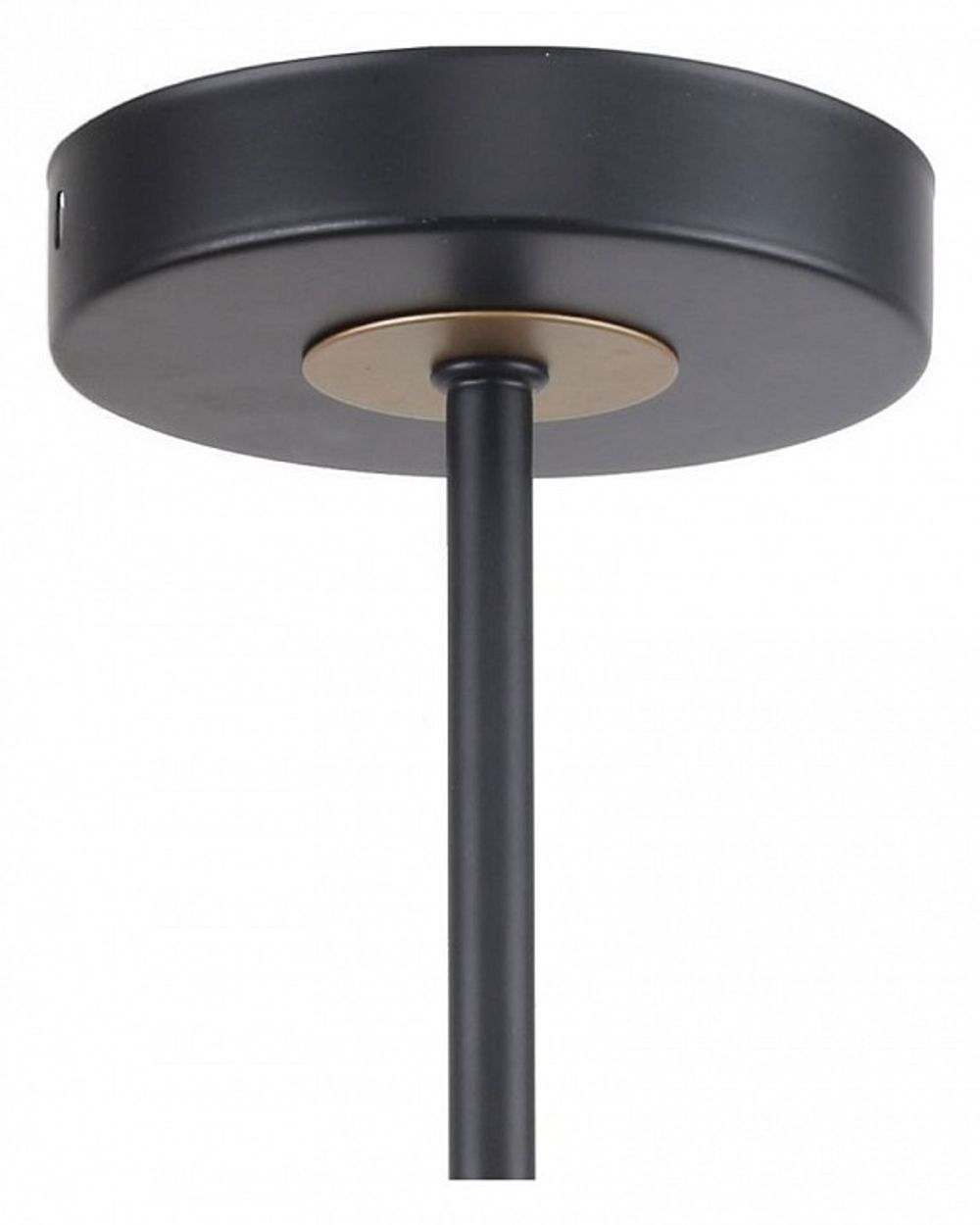 Люстра на штанге F-promo Rigor 2844-5P